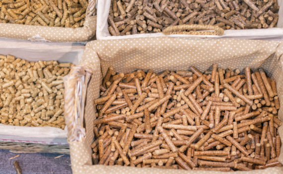 pellet